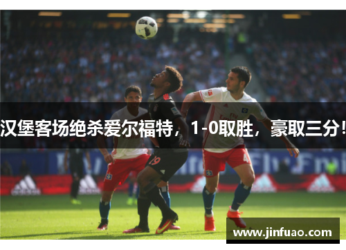 汉堡客场绝杀爱尔福特，1-0取胜，豪取三分！