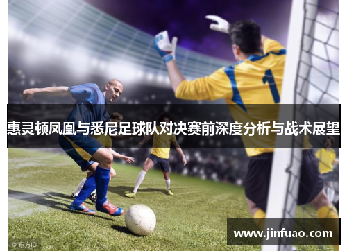 惠灵顿凤凰与悉尼足球队对决赛前深度分析与战术展望