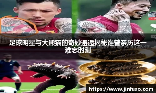 足球明星与大熊猫的奇妙邂逅揭秘谁曾亲历这一难忘时刻